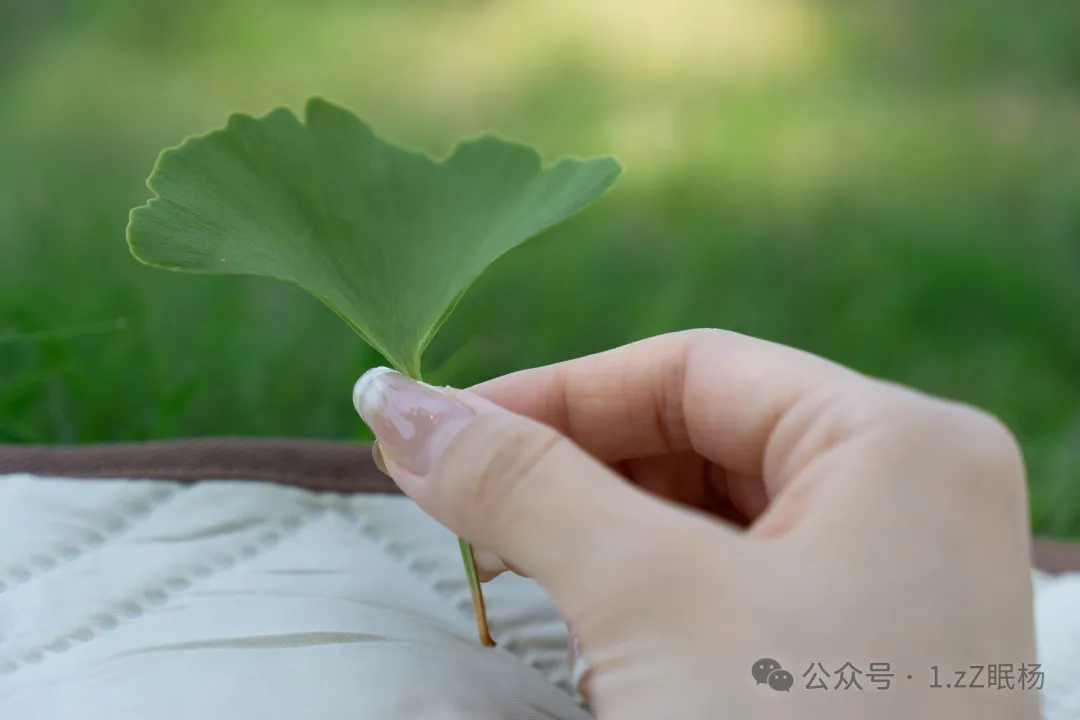 2026.5 南京 万科金域蓝湾附近露营