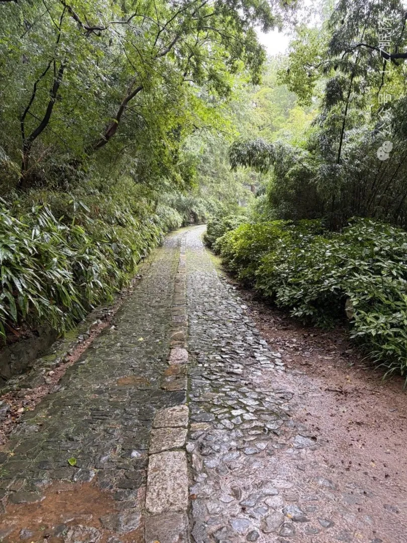 南山